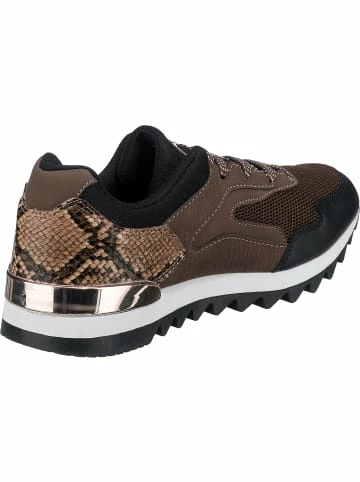 Aktion 🔥 Freyling Fashion Snake Light Run 👟 Sneakers Low Günstig Kaufen ✔️ 5 Aktion 🔥 Freyling Fashion Snake Light Run 👟 Sneakers Low Günstig Kaufen ✔️ – Bild 5
